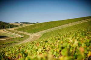 Vue pente Montpierreux